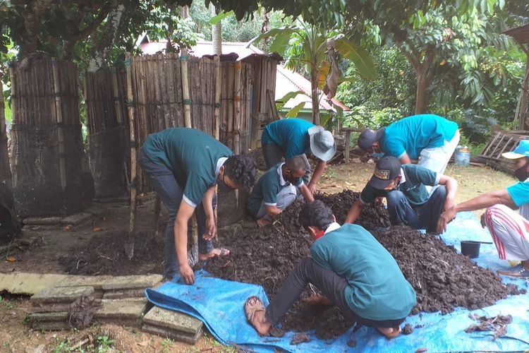 Kelompok Tani Maju Bersama, yang dibina Ramin Sunarto (52), melakukan panen pertama budidaya cacing merah di Desa Rejosari, Kecamatan Lirik, Kabupaten Indragiri Hulu, Riau, Sabtu (24/10/2020).