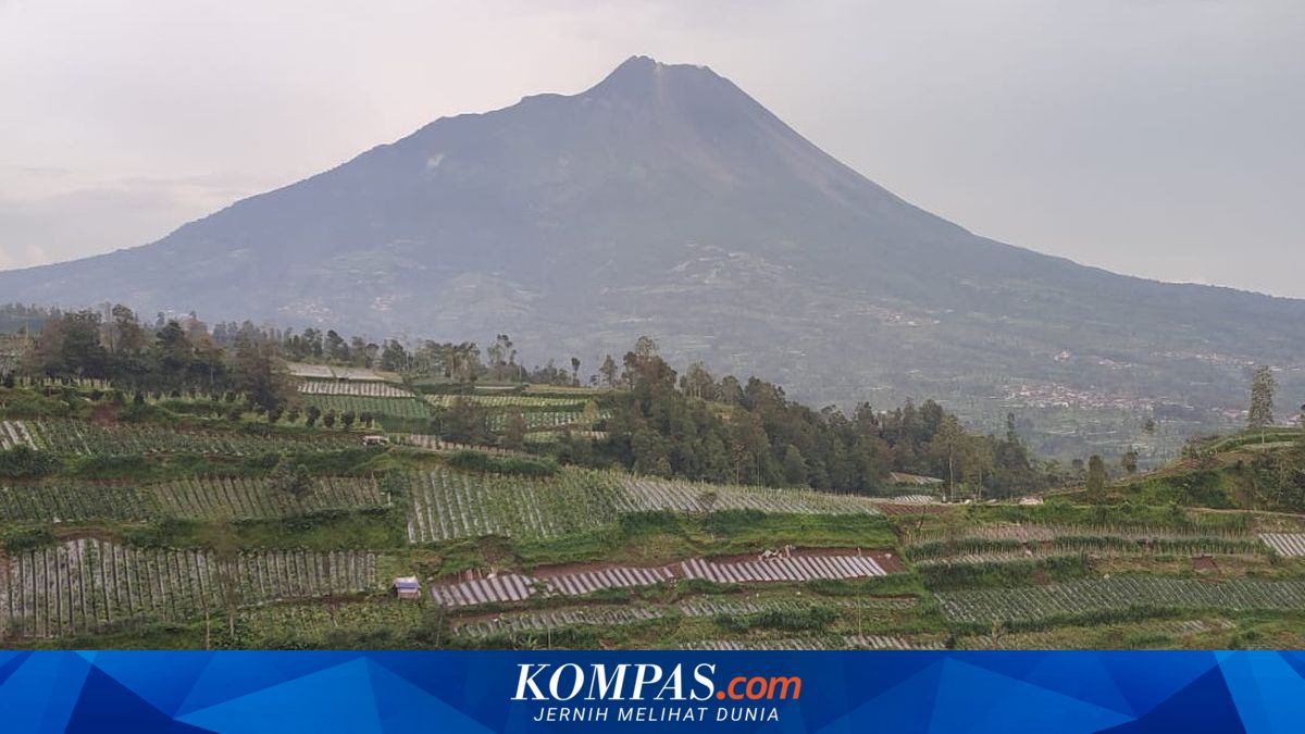 Pendaki Serbu Merapi, BTNGM Ungkap Alasan Jalur Selo Tak Dijaga Polisi dan TNI