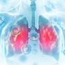 Teknik Pemindaian Unik Ini Temukan Kerusakan Paru-paru akibat Covid-19