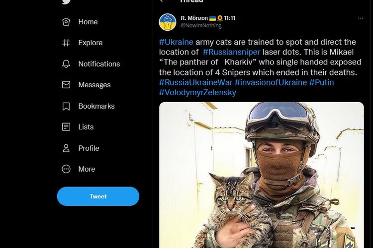 Misinformasi yang menyebutkan seekor kucing membantu tentara Ukraina dalam mendeteksi dan menewaskan sniper Rusia beredar di media sosial sejak akhir Februari 2022.