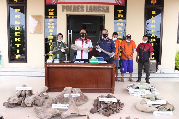Dua tersangka dalam kasus perdagangan tulang belulang gajah di Mapolres Langsa, Aceh, Selasa (21/6/2022)