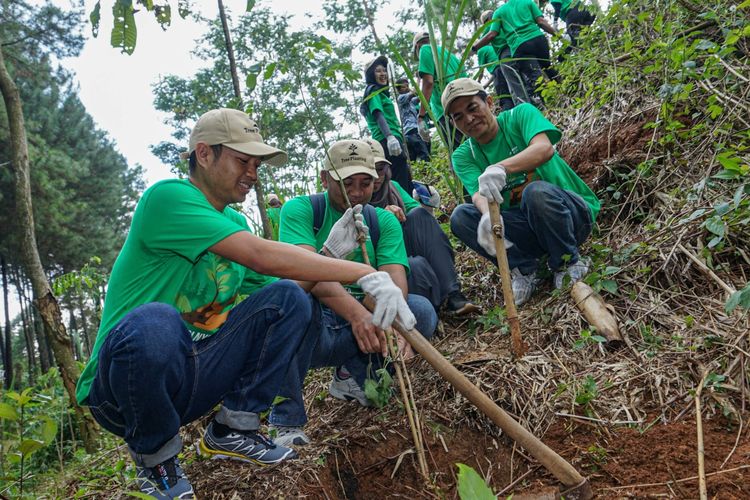 Kegiatan reforestasi dan penghijauan Nestle
