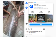 Video Viral Ikan Raksasa Arapaima Ditemukan Warga Garut, Apakah Berbahaya?