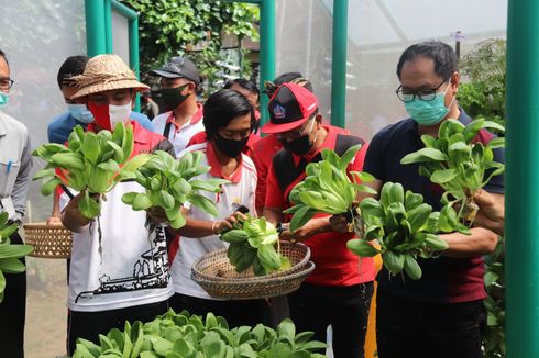 Tantangan Mewujudkan Ketahanan Pangan di Indonesia