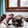 Kucing Suka Tidur di Dekat Kaki Pemiliknya, Kenali Alasannya