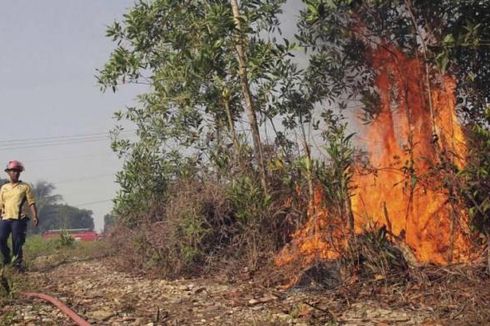 Menhut: Titik Kebakaran Lahan di Riau Berkurang