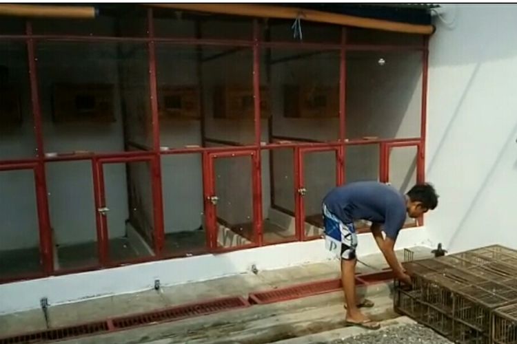 Kediaman Pembeli Burung Rp 1 Miliar Rumah Pun Disulap Jadi