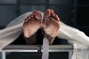 Kematian Prada HMN, Kodam Hasanuddin Tegas Copot Danyon dan Tahan 3 Senior