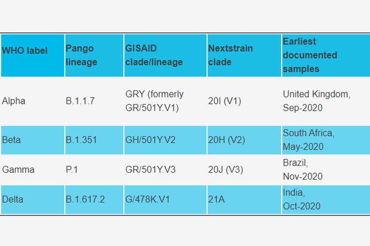 Tangkapan layar penamaan virus SARS-CoV-2 yang termasuk variants of concern.