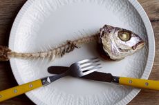 Kapal Pengangkut Senjata Diserang Saudi, Separatis Tolak Mundur dari Yaman