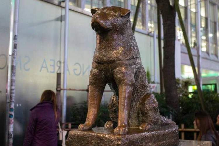Patung Hachiko, anjing paling setia di dunia di Stasiun Shibuya, Jepang