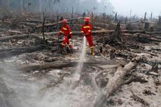 Presiden Minta Tindak Tegas Pelaku Pembakaran Hutan