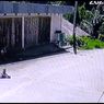Terekam CCTV, Bocah Perempuan Ditabrak Motor di Mamasa, Terseret hingga 7 Meter