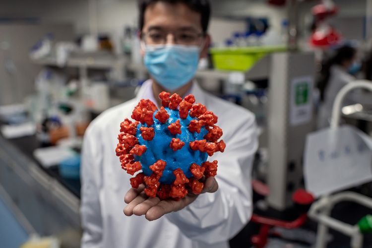 Petugas laboratorium memperlihatkan model virus Covid-19 di Quality Control Laboratory Sinovac Biotech, Beijing, China. Gambar diambil pada 29 April 2020.