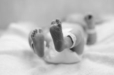 Viral Bayi Ditemukan dalam Kardus di Makassar, Warga Berbondong-bondong Ingin Adopsi