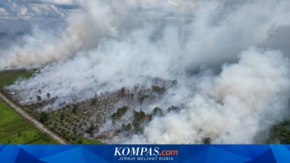 "Hotspot" Ancam Kotawaringin Timur, Jarak Api Sisa 100 Meter dari Menara Sutet PLN
