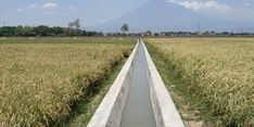 Kegiatan RJIT Kementan Dongkrak Produktivitas Persawahan Bandung Barat