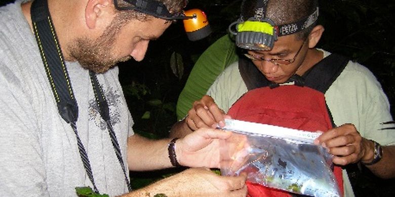 Spesies baru katak ditemukan di area PT Freeport Indonesia. Bersama para pakar nasional dan internasional, PT Freeport Indonesia terus menjalankan program pemantauan lingkungan yang mencakup survei flora dan fauna secara ekstensif di dalam berbagai rentang habitat berbeda.
