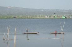 Selamatkan Rawa Pening dari Pendangkalan dan Kekeringan...