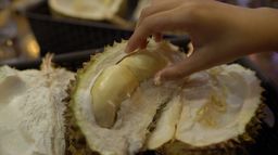 Cara Pilih Durian yang Masih Bagus dari Kulit dan Tangkai