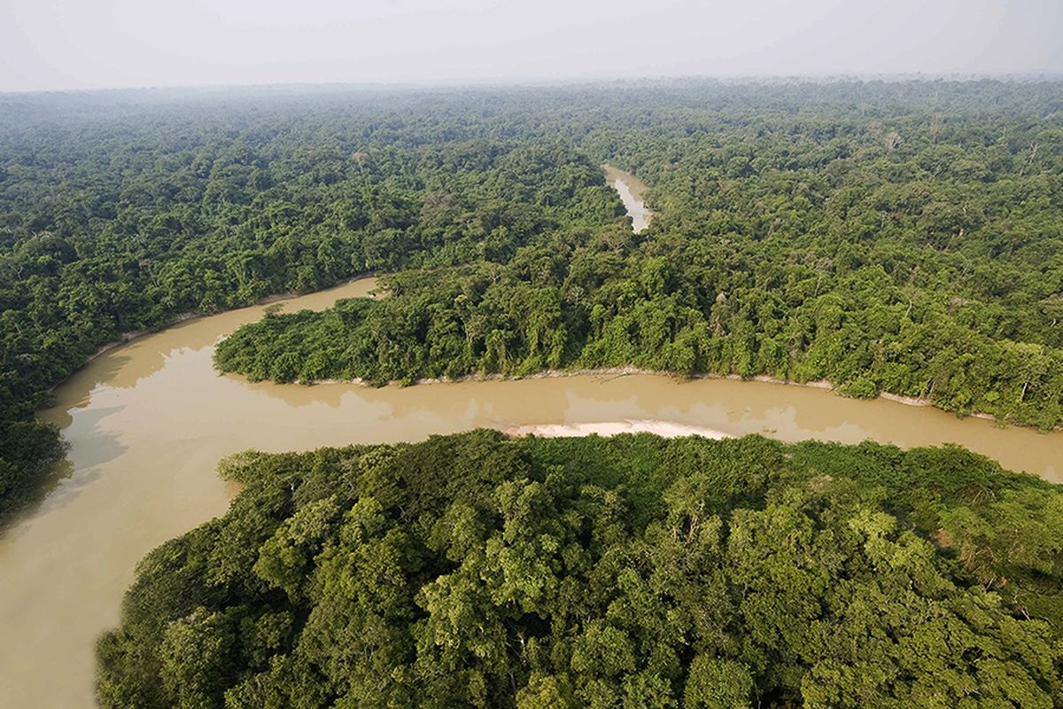 Hutan Amazon.