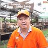 Mengintip Cuan dari Bisnis Peternakan Kambing dan Domba
