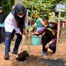 5 Varietas Durian Merah Banyuwangi Kini Sudah Terdaftar di Kementan