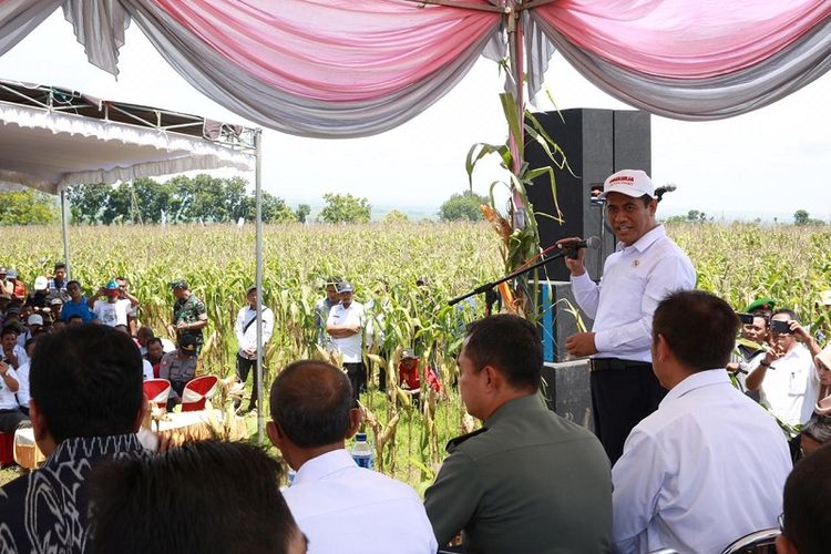 Mentan Amran memberikan bantuan bibit jagung untuk Kabupaten Lamongan sebanyak dua kali lipat dari tahun lalu.