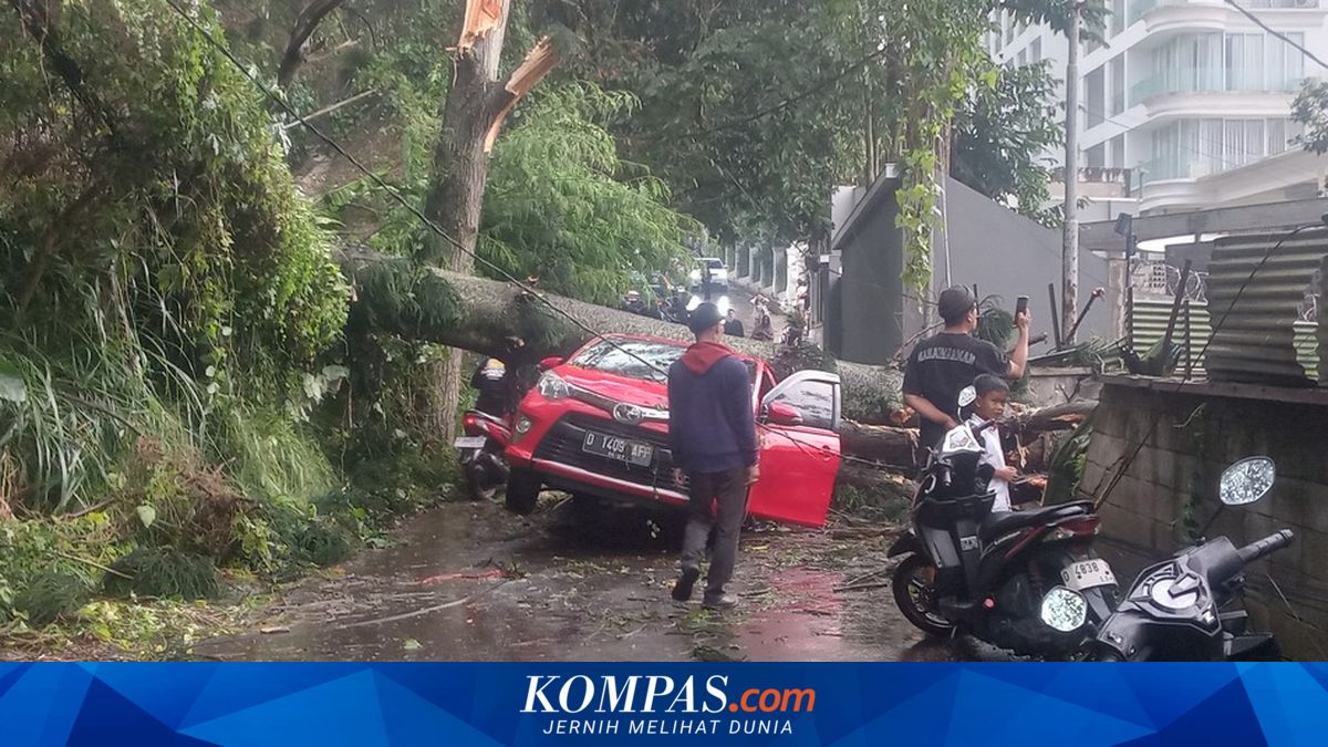 Pengemudi tewas tertimpa pohon saat hujan angin di Bandung. Cuaca ekstrem mengintai!