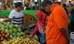 Tingkatkan Skala Ekonomi Pertanian, Kementan Bentuk Badan Usaha untuk Petani 