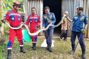 Mengapa Damkar Dicintai, Lembaga Lain Dipertanyakan? 