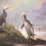 Penguin Raksasa dari Selandia Baru ini Punya Doppelganger, Seperti Apa?