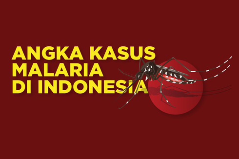 INFOGRAFIK: Angka Kasus Malaria di Indonesia