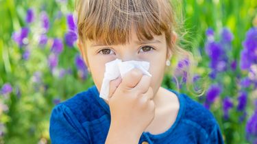 Kenapa Tubuh Alergi Debu dan Dingin? Begini Penjelasan Medis Dosen IPB