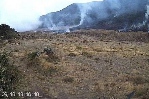 Sabana di Gunung Gede Pangrango Terbakar
