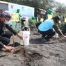 Antisipasi Bencana di Banyuwangi, Ribuan Pohon Cemara dan Mangrove Ditanam di Pantai