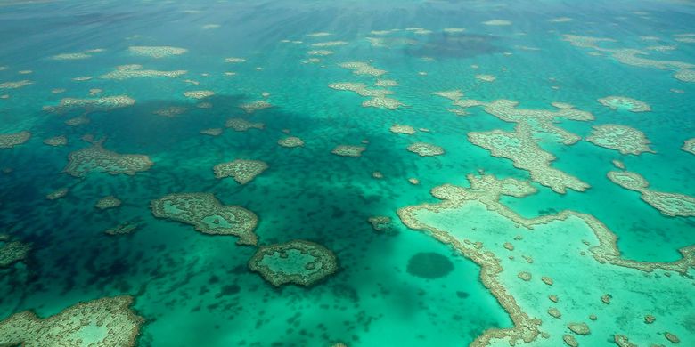 Terumbu karang terbesar di dunia, The Great Barrier Reef di Australia.