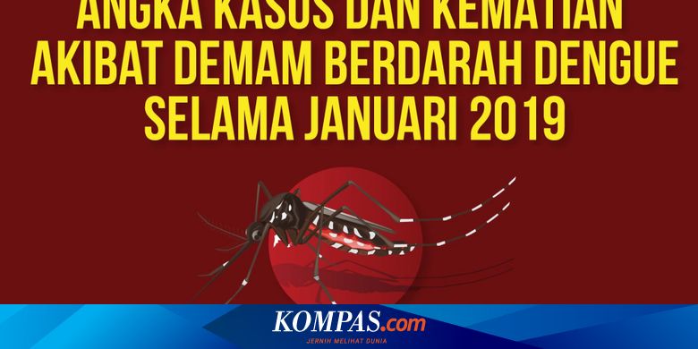 Infografik Angka Kasus Dan Kematian Akibat Dbd Pada Januari 2019