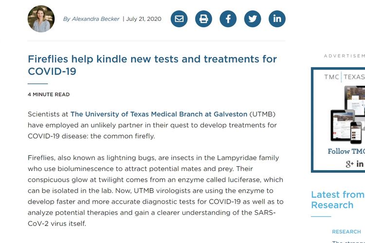 Tangkapan layar laman edukasi Texas Medical Center, 21 Juli 2020, tentang UTMB yang mengembangkan tes diagnostik yang lebih cepat dan lebih akurat untuk Covid-19, menggunakan enzim luciferase.
