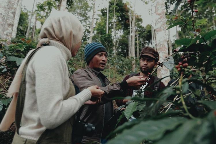 Wisata petik dan pengolahan kopi di Desa Wisata Taraju di Kecamatan Taraju, Kabupaten Tasikmalaya