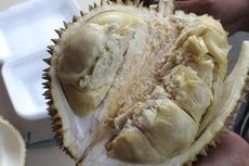 Mengapa Tamu Hotel Dilarang Membawa Durian?