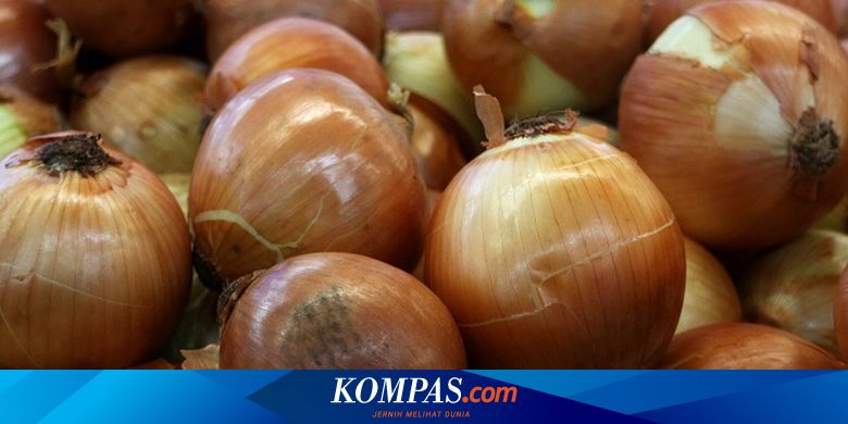 Sejarah Bawang Bombai Bisa Masuk Ke Indonesia Halaman All Kompas Com Sejarah Bawang Bombai Bisa Masuk Ke Indonesia Halaman All Kompas Com