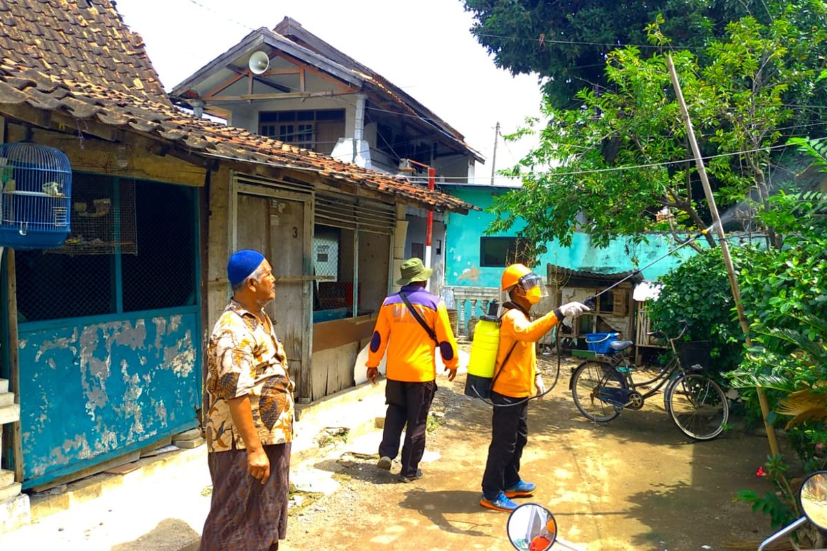 Puluhan rumah di Jalan Ijen, Kelurahan Mimbaan, Kecamatan Panji, Kabupaten Situbondo, Provinsi Jawa Timur diserang hama ulat bulu. Petugas melakukan penyemprotan.