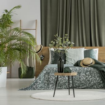 Ilustrasi kamar tidur dengan nuansa warna hijau zaitun atau olive green. 