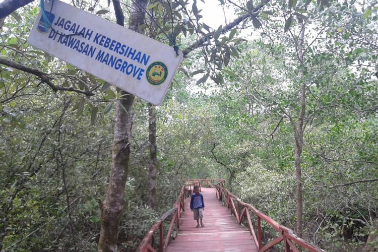 Wisata mangrove di Pantai Batukaras di Kabupaten Pangandaran, Jawa Barat, Rabu (19/12/2018).