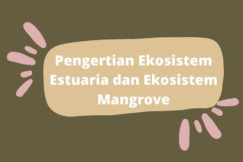 Pengertian Ekosistem Estuaria dan Ekosistem Mangrove