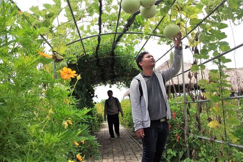 Pesona Taman Edukasi Pertanian, Destinasi Wisata Bumdes Banjarsari 