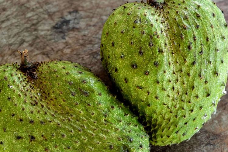 Ilustrasi buah sirsak