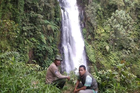 Wisata ke Air Terjun Cunca Rede Setinggi 43 Meter di TWA Ruteng NTT