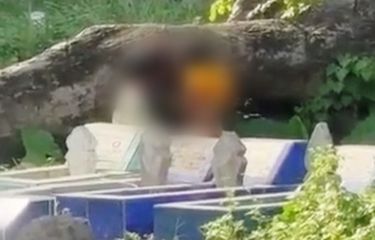 Viral, Video 2 Bocah di Makassar Berbuat Asusila di Area ...